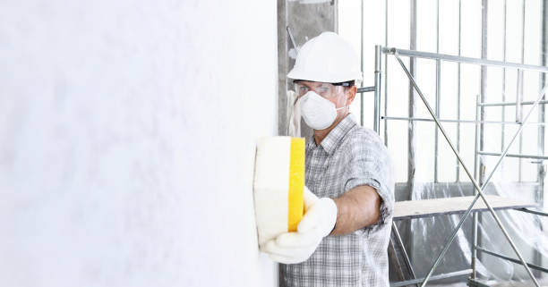 Reliable Hart, TX Mold Removal Solutions